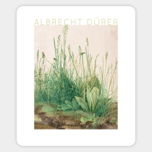 Albrecht Dürer - Great Piece of Turf Sticker